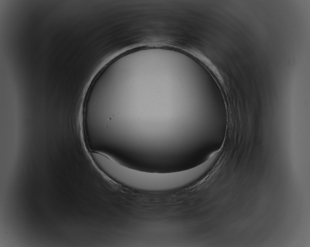 X0000100311343200806190935