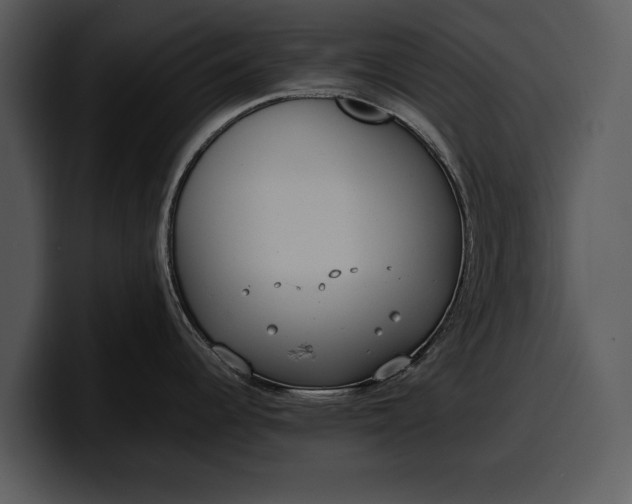 X0000100311344200806190935