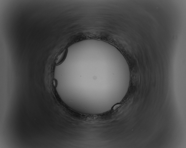 X0000100311345200806190934