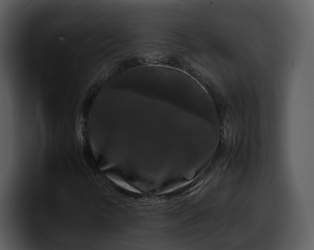X0000100311346200806190934