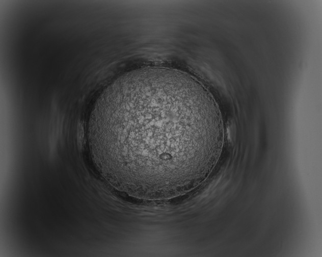 X0000100311347200806190934