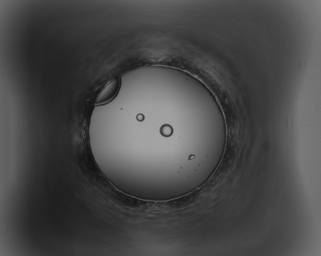 X0000100311349200806190934