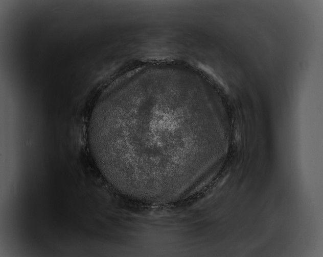X0000100311350200806190934