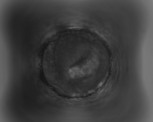 X0000100311351200806190934