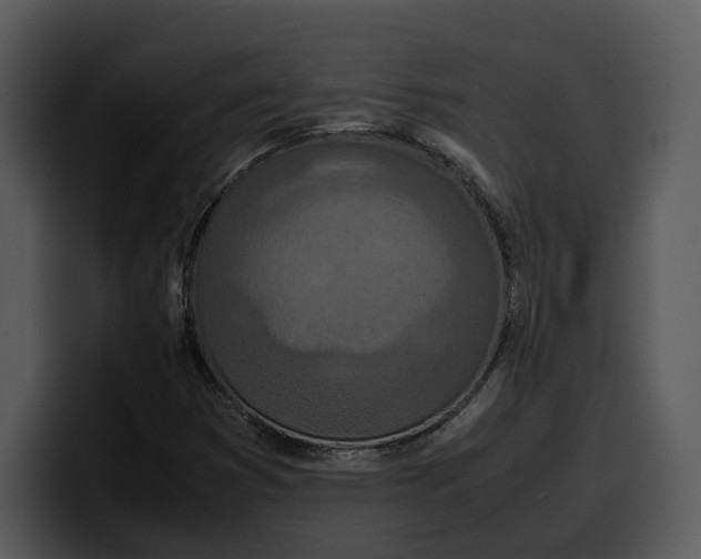 X0000100311353200806190934