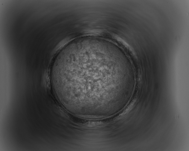 X0000100311354200806190934