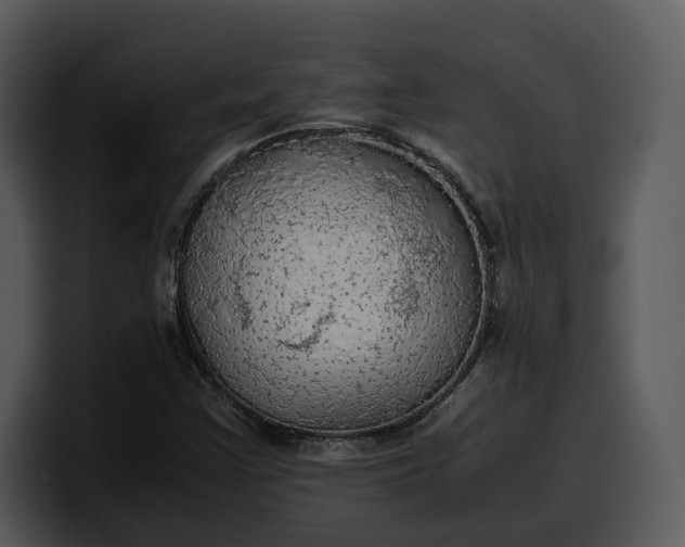 X0000100311355200806190934