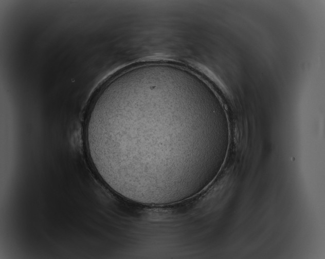 X0000100311356200806190934