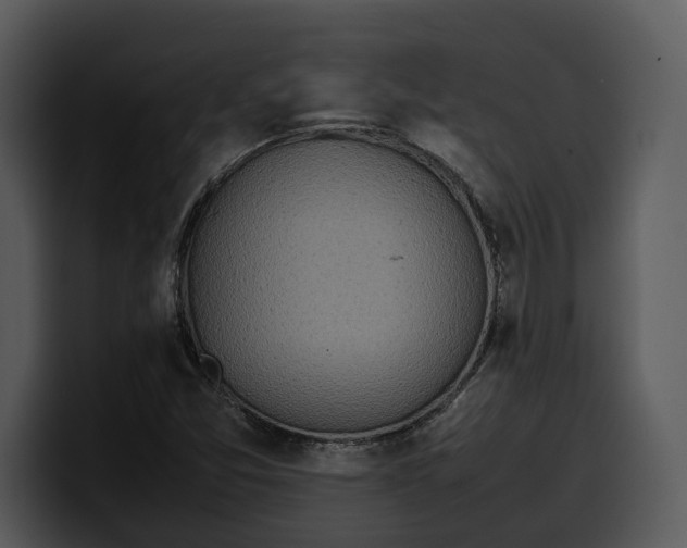 X0000100311357200806190934