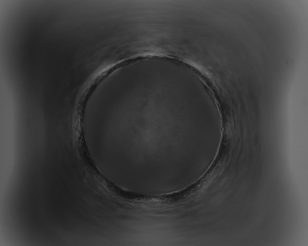 X0000100311359200806190934
