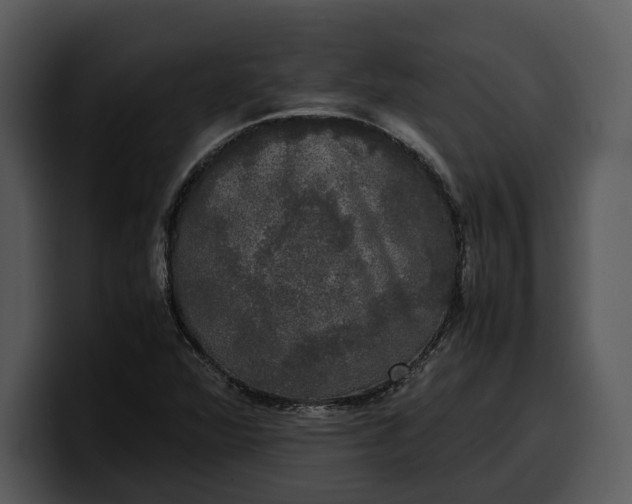 X0000100311360200806190934
