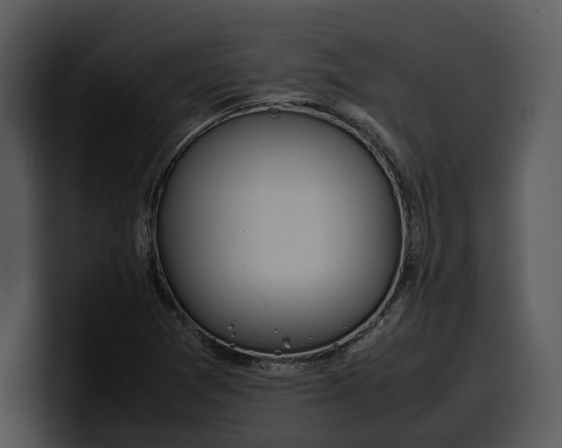X0000100311361200806190934