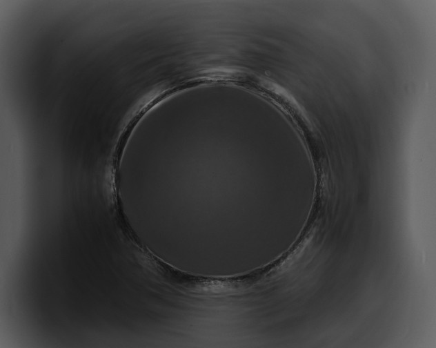 X0000100311362200806190934