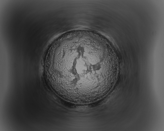 X0000100311363200806190934