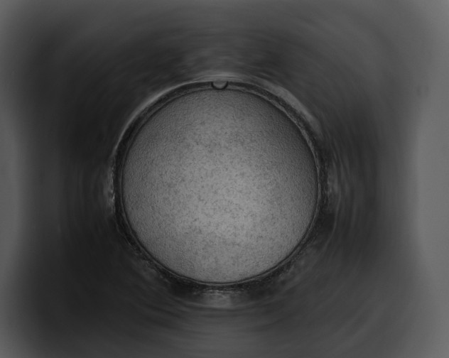 X0000100311364200806190934