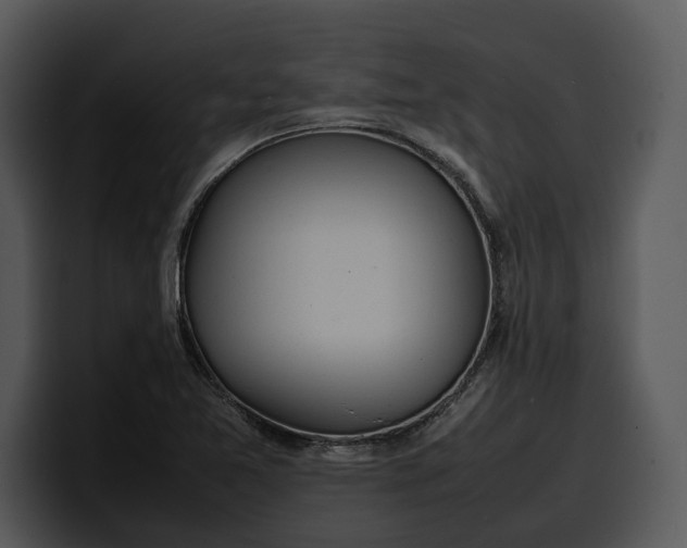 X0000100311365200806190934