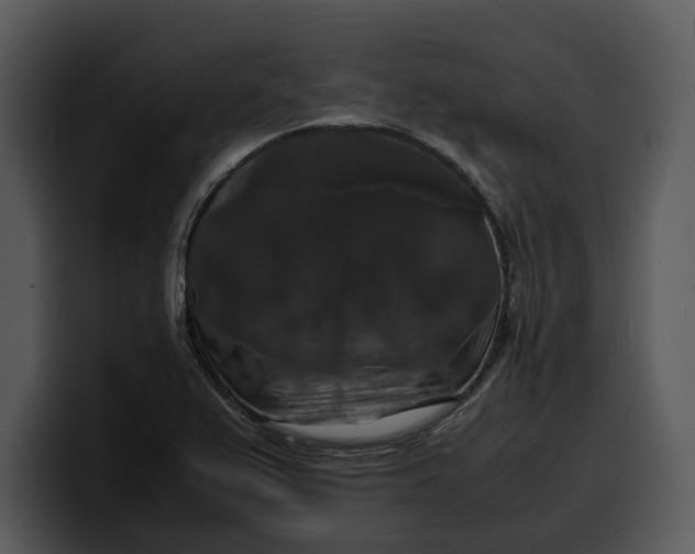 X0000100311367200806190934