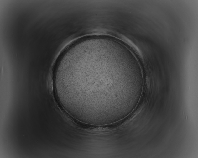 X0000100311368200806190934