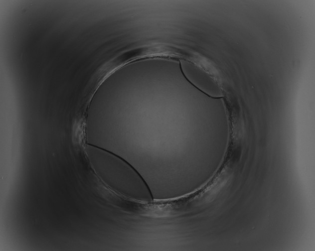 X0000100311369200806190934