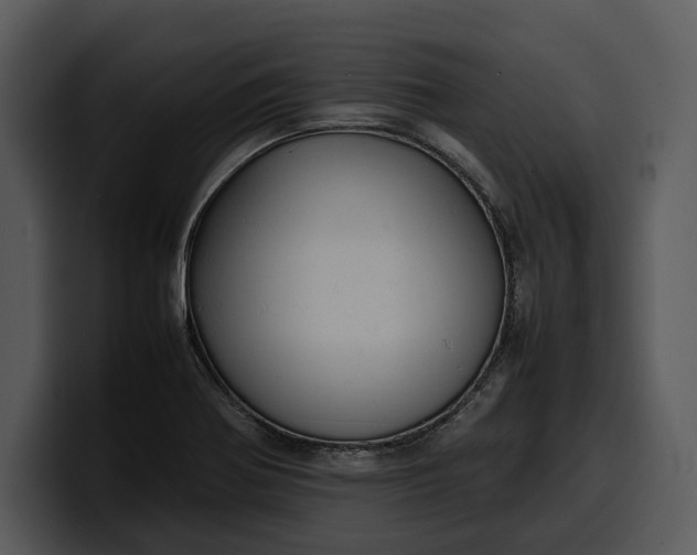 X0000100311370200806190934
