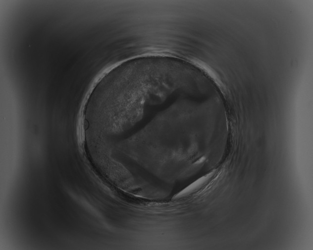 X0000100311371200806190934