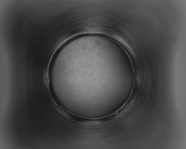 X0000100311372200806190934