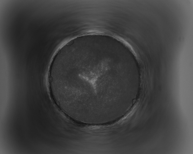 X0000100311373200806190934