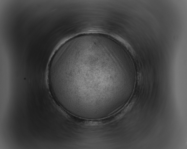 X0000100311374200806190934