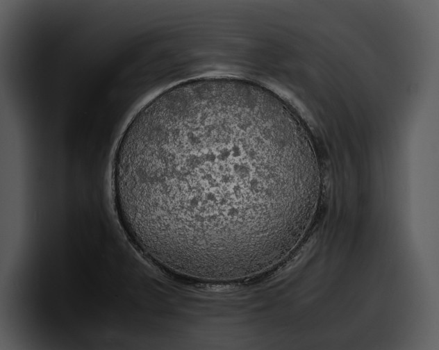 X0000100311375200806190934