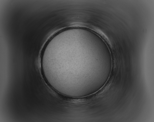 X0000100311376200806190934