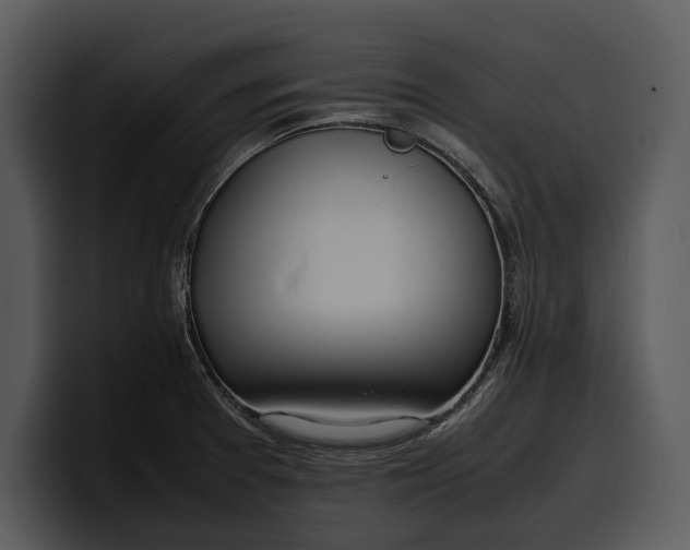 X0000100311377200806190934