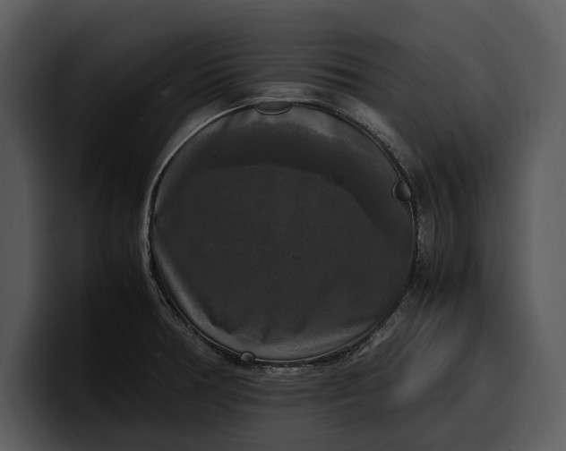 X0000100311378200806190933