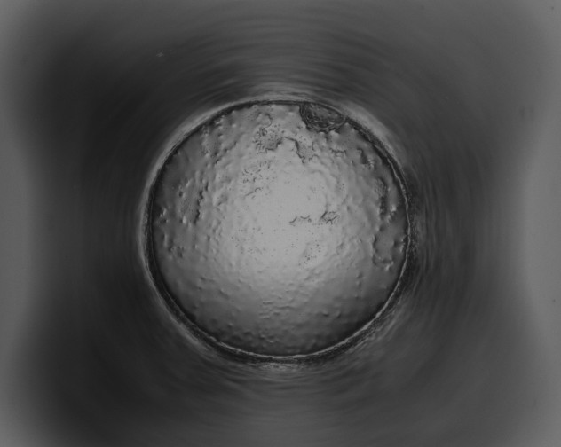 X0000100311379200806190933