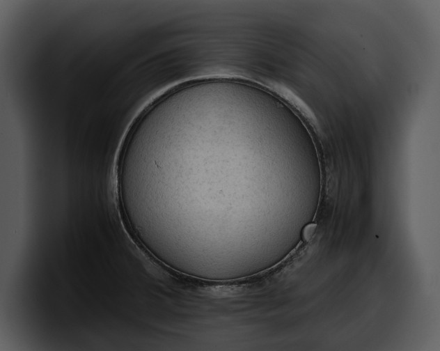 X0000100311380200806190933