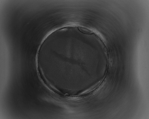 X0000100311382200806190933