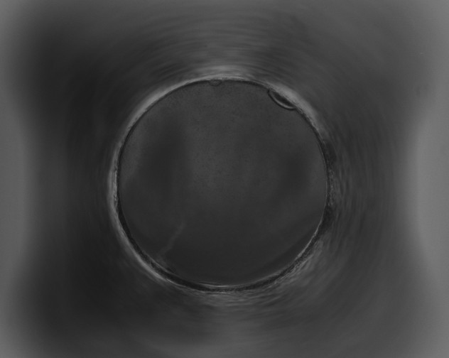 X0000100311383200806190933