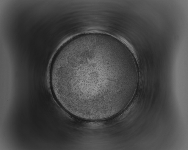 X0000100311384200806190933