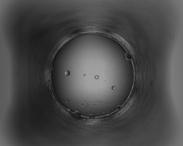X0000100311385200806190933