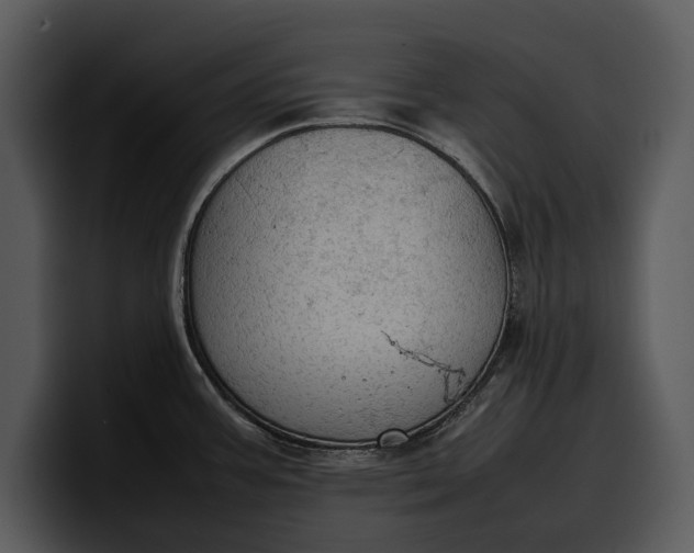 X0000100311387200806190933
