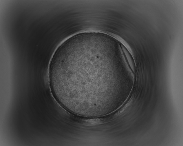 X0000100311388200806190933