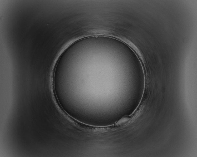 X0000100311389200806190933