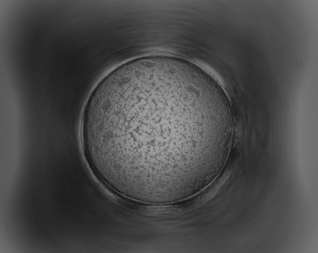 X0000100311391200806190933
