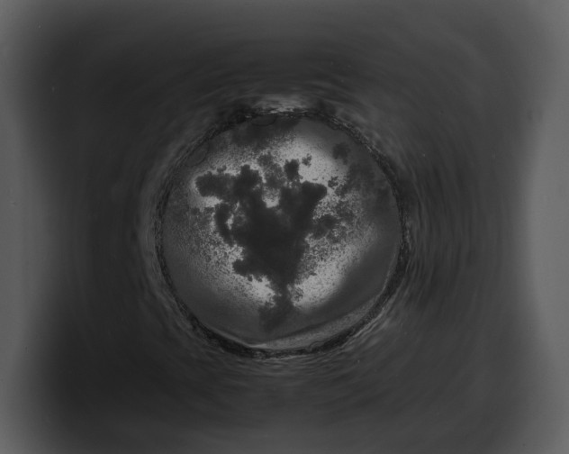 X0000100311393200806190933