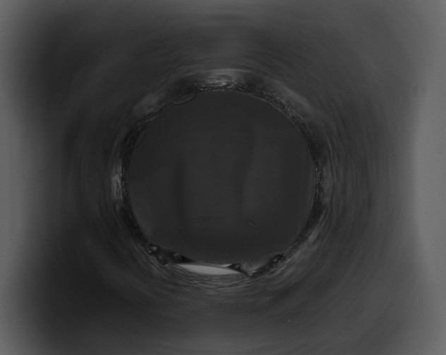X0000100311394200806190933