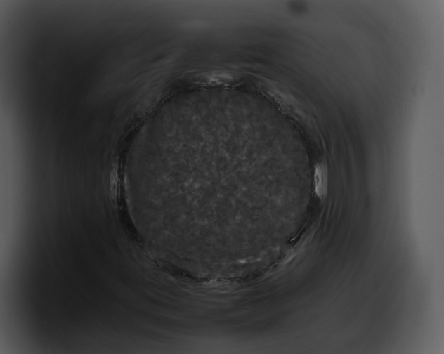 X0000100311395200806190933
