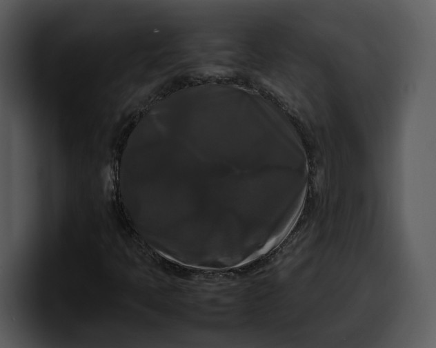 X0000100311397200806190933