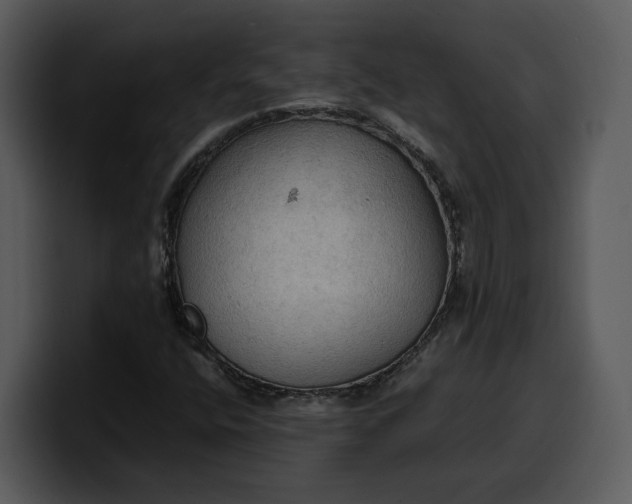 X0000100311400200806190933