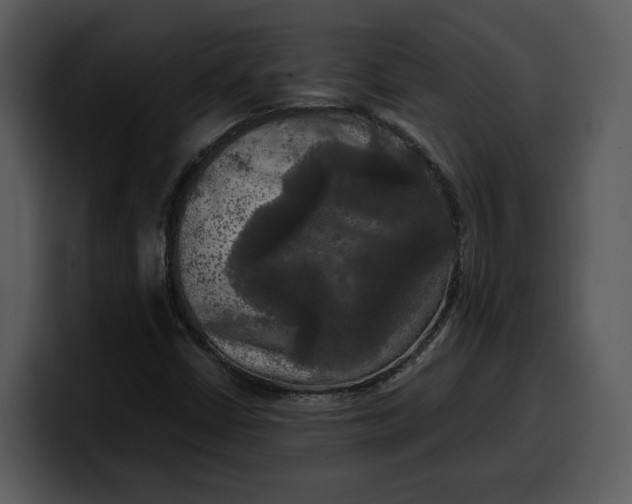 X0000100311402200806190933