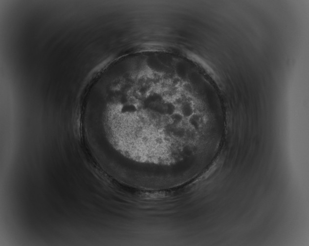 X0000100311403200806190933