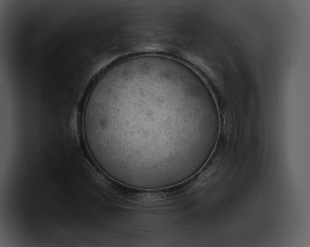 X0000100311404200806190933